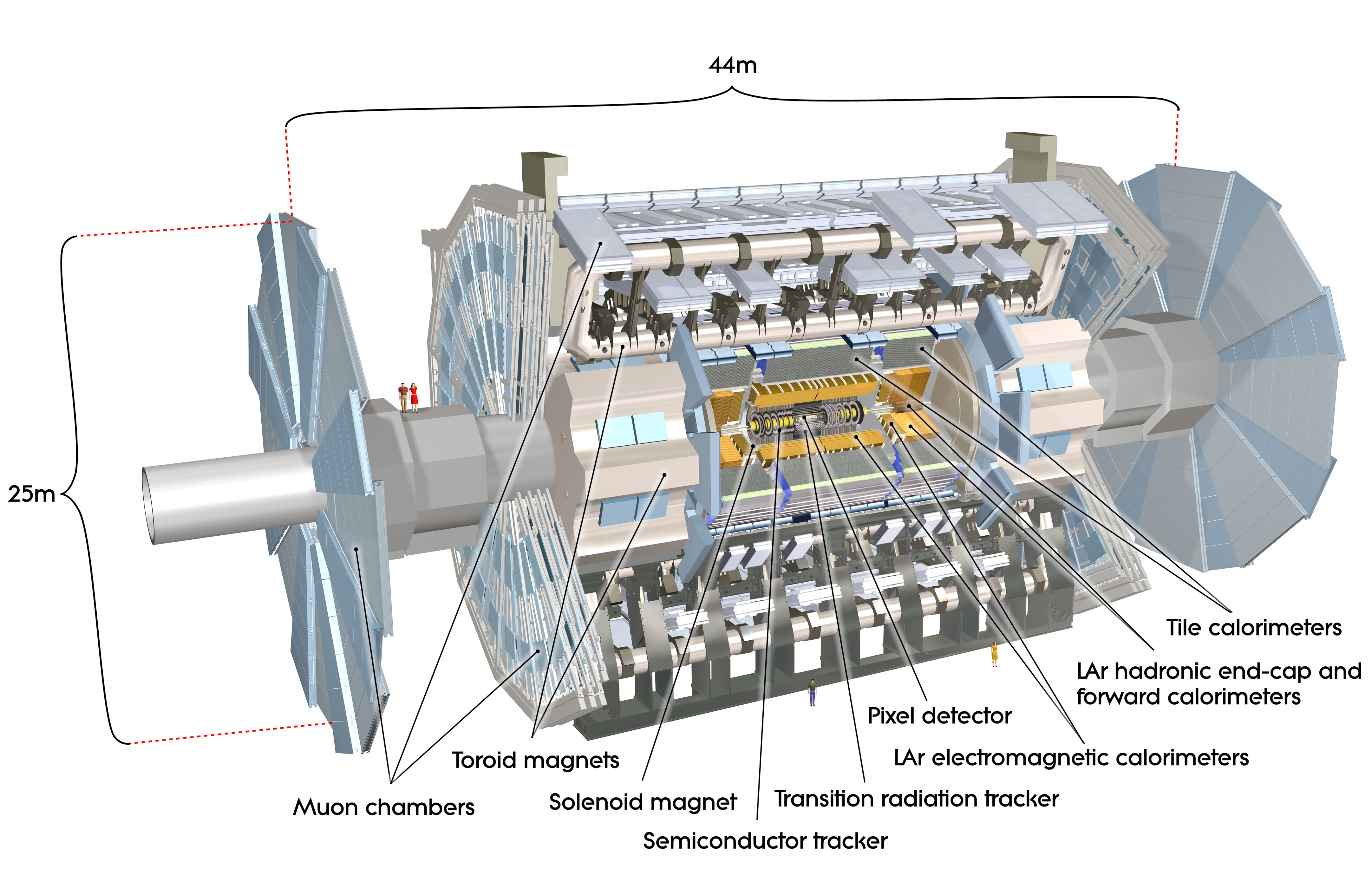 Детектор имеет. Детектор Atlas. Детектор Atlas в разрезе. Строение адронного коллайдера схема. Детекторы большого адронного коллайдера.