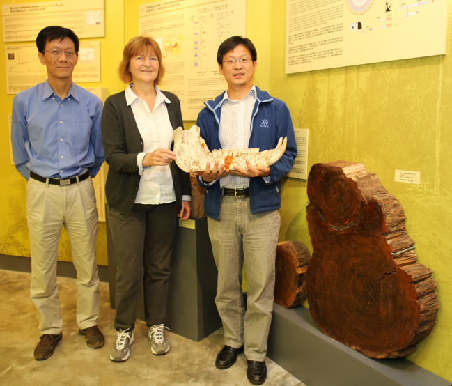 Curator of HKU Stephen Hui Geological Museum Dr. Petra Bach and two climate change experts of the Department of Earth Sciences Dr. Liu Zhonghui and Professor Zong Yongqiang explain the research behind the “Cenozoic Climate Change” exhibition through displaying ancient tree rings, ancient rhinoceros paradise fossil and other exhibits.