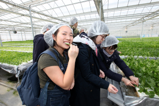 Students sample vegetables at the Michisaki hydroponic farm.
