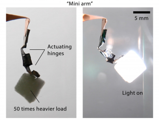 Figure 2 	A mini arm with two actuating hinges lifting a weight 50 time heavier than itself under light.