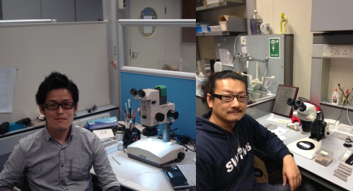Dr Hokuto Iwatani (left) and Dr Moriaki Yasuhara (right) working in their laboratories at the School of Biological Sciences, The University of Hong Kong.