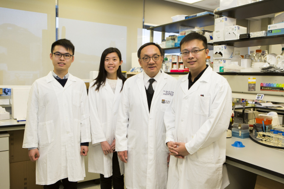 Dr Alan Chiang Kwok-shing (second right) and his research team members.