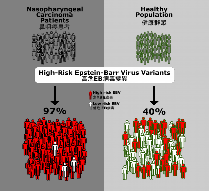 The research discovers High Risk EBV Variants associated with Nasopharyngeal Carcinoma.