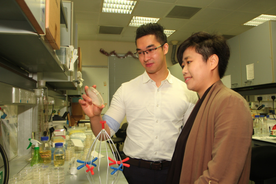 港大生物科學學院助理教授阮永怡博士(右)和博士後研究員凌翊軒博士(左)利用酵母發現，著絲粒DNA會作為模板製造出非蛋白質編碼的RNA，對染色體的穩定性至關重要。