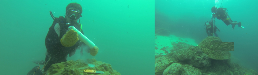 研究人員正在海底鑽探珊瑚礁。