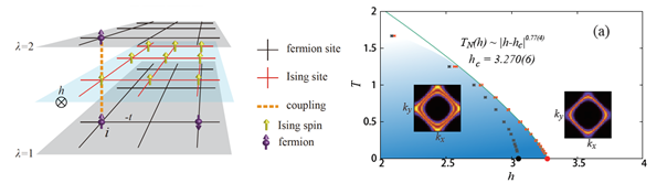 左起:（a）費米子與鐵磁量子 Ising 自旋耦合模型 。（b）費米子與鐵磁量子 Ising 自旋耦合模型的量子蒙特卡洛計算相圖。