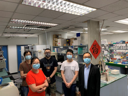 The two HKU research teams. (From left to right) Mr Yuanxin LI (Department of Pharmacology and Pharmacy), Professor Yu WANG (Department of Pharmacology and Pharmacy), Dr Yiwei ZHANG (Department of Pharmacology and Pharmacy), Mr Hongxiang WU (Research Division for Chemistry and Department of Chemistry) and Professor Xuechen LI (Research Division for Chemistry and Department of Chemistry).

 