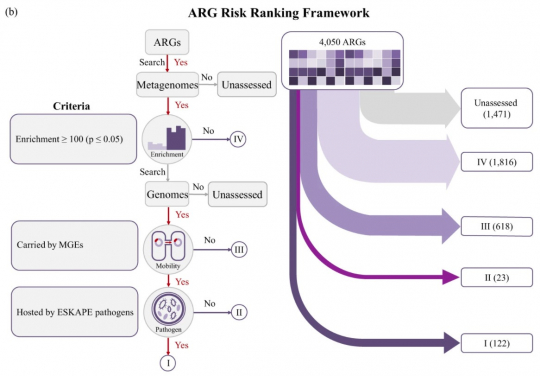 ARG risk ranking framework