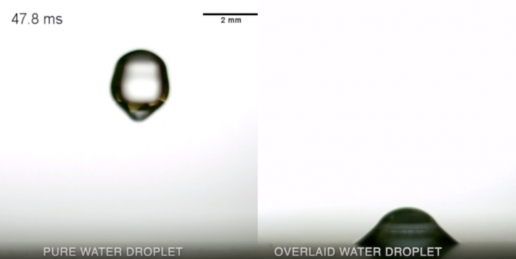 超疏液表面液滴增強附着效果圖。（右圖）包了一層超薄潤滑劑的水滴，黏著非潤濕表面不回彈。（左圖）普通水滴從表面回彈。