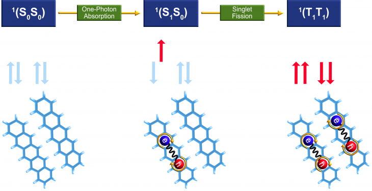 Image 1. The singlet fission process in pentacene dimer: the initial singlet exciton S1S0 of one monomer splits into two free triplet excitons T1-T1 via a correlated triplet pair 1(TT) equally spreading over two neighbor monomers. Singlet fission realises the down-conversion of photon energy and has become one of the focal areas in modern photovoltaic studies.