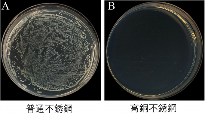 Figure 3. Photos of typical bacterial colonies on A) regular SS and B) the high Cu SS (20 wt%)