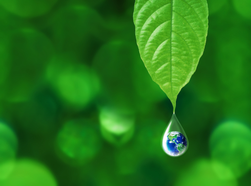 HKU Science specially presents the ‘Earth Day Lecture’ series, hoping to bring new insights into both the academic arena and the general public through environmental experts. 