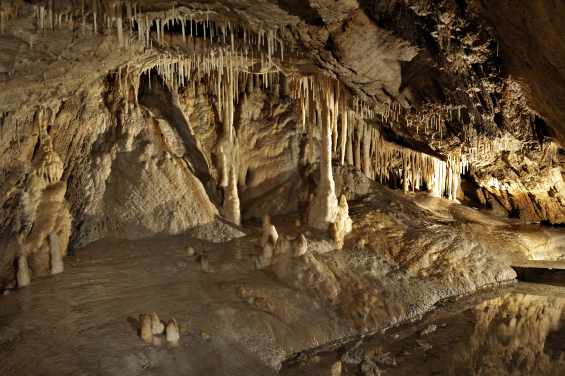 喀斯特（岩溶）作用 — 圖中的溶洞Jaskinia Niedzwiedzia 是波蘭蘇台德山脈最長的洞穴，由大理石被水溶蝕而形成。目前已經發現的洞穴通道，長達4.5公里，而且高低深淺不一。這裏還保存了波蘭境內最豐富的洞穴沈積物，包括千姿百態的石鐘乳、石筍、滴水石、石芽、泉華池，等等。（圖片鳴謝：Urząd Miejski w Stroniu Śląskim）