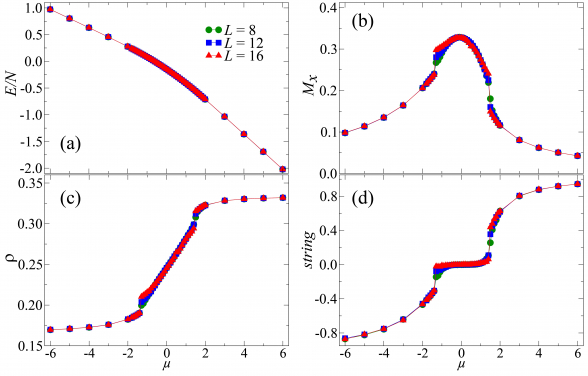 Figure 4. Distinguishing the topological orders and trivial phases by designed measurements. 
Illustration: Phase transitions between QSLs and the PM phase. Data along the QSL–PM–QSL path, indicated by the dashed line at V = 0.9 in Fig. 2. (a) The energy density is smooth with increasing µ. (b) The polarization Mx reveals the first-order phase transition between the PM phase and the two Z2 QSLs. (c) The dimer filling changes continuously in the PM phase, and the filling also exhibits a first-order phase transition between the PM phase and QSLs. (d) The string operator is zero in the trivial PM phase but positive (negative) in the even (odd) Z2 QSL.