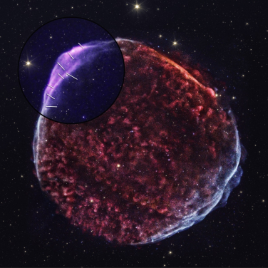 超新星殘骸 SN 1006 的合成影像。左上角的圓圈顯示了 IXPE 的觀測區域。IXPE 在 2-4 keV 的輻射以紫色表示，白色線條則標示出磁場方向。整體的紅色和白色部分分別為由錢德拉X射線觀測衛星 (Chandra X-ray Observatory) 所捕捉到的軟和硬的X射線輻射。背景的金色部分則來自史匹哲太空望遠鏡 (Spitzer Space Telescope) 的紅外線輻射。圖片提供：X-ray: Chandra: NASA/CXC/SAO, IXPE: NASA/MSFC/P. Zhou et al.; Infrared: Spitzer.
