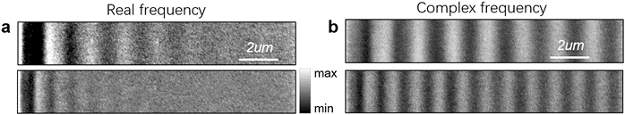 Figure 2. 1D Polariton propagation (from left to right) using hBN film operating at optical frequency. (a) Real frequency images show obvious decay field profile at propagation direction. (b) Complex frequency measurements provide almost non-dissipative propagation behavior. 
(Figures adapted from Nature Materials, 2024, doi.org/10.1038/s41563-023-01787-8)
 