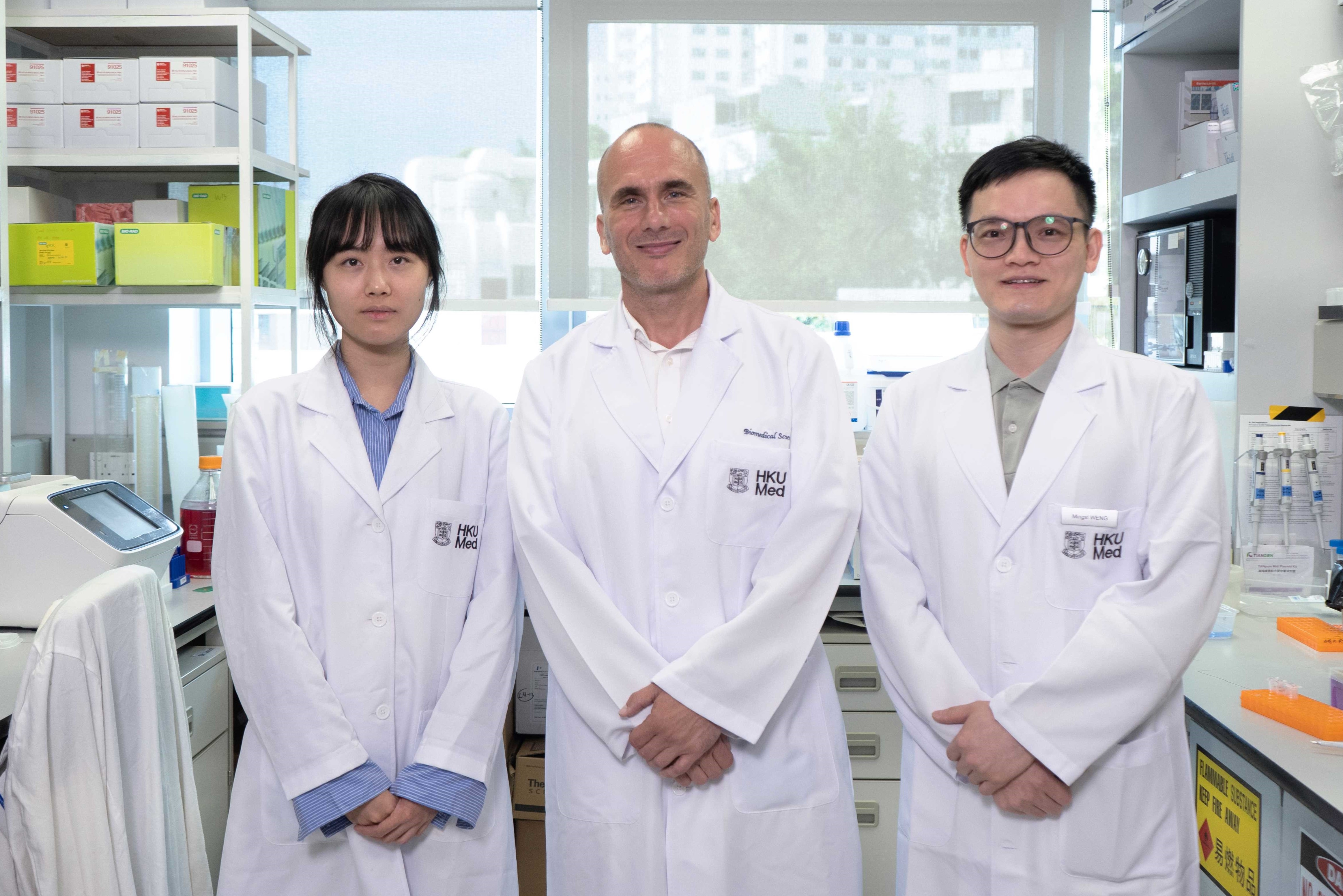 HKUMed develops shortcut to generate brain stem cells for age-related ...