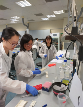Participants preparing samples during day two of the lab tutorial.