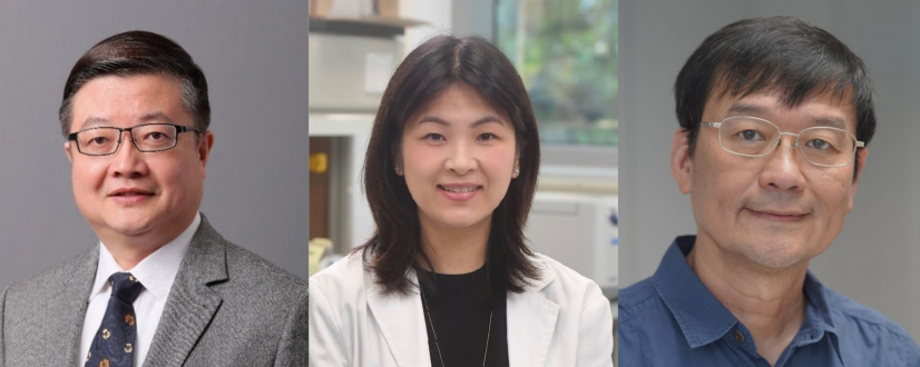 Coordinators of the three HKU-led TRS projects: Professor CHEN Zhiwei, Professor Stephanie MA and Professor Ron Shu-Yuen HUI