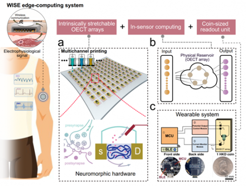 Schematic of the wearable in-sensor computing platform.
 