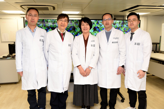 Led by Professors Jane Zhou Jie (middle) and Yuen Kwok-Yung (second left) from the Department of Microbiology, School of Clinical Medicine, HKUMed, the research team has successfully cultured the previously hard-to-grow human rhinovirus C (HRV-C) using their self-developed 'human respiratory organoids (mini-organs)'.
 