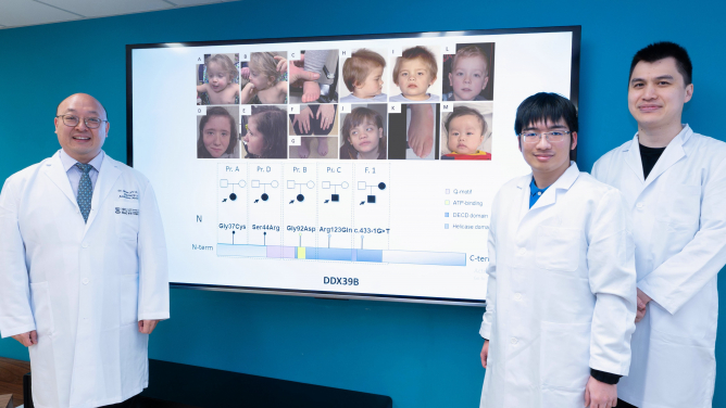 In a global study led by Dr Brian Chung Hong-yin (left), the HKUMed research team identifies a novel gene, DDX39B, for a rare disease. Genetic mutations in this gene impact brain function, leading to developmental delay and hypotonia.
 