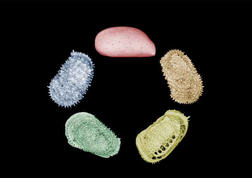 Find out how climate intervention impacts deep-sea ecosystems